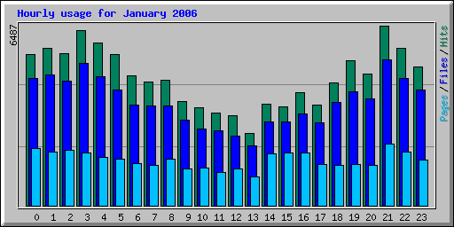 Hourly usage for January 2006