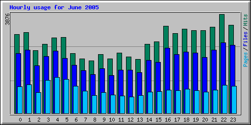 Hourly usage for June 2005